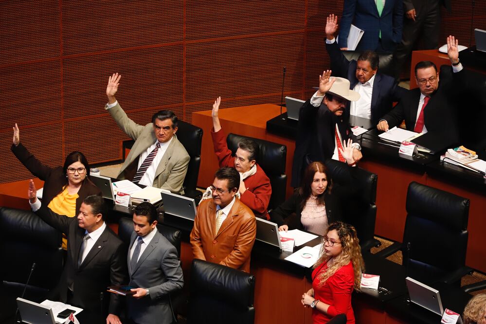 Sesión extraordinaria en el Senado / Berenice Fregoso. EL UNIVERSAL