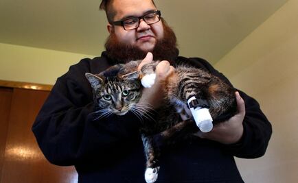 Crean prótesis 3D para gato que fue amputado en EU