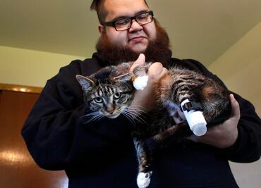 Crean prótesis 3D para gato que fue amputado en EU