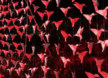 "Cwtch" in Mexico: Kiko Mezcal takes spirits to the next level