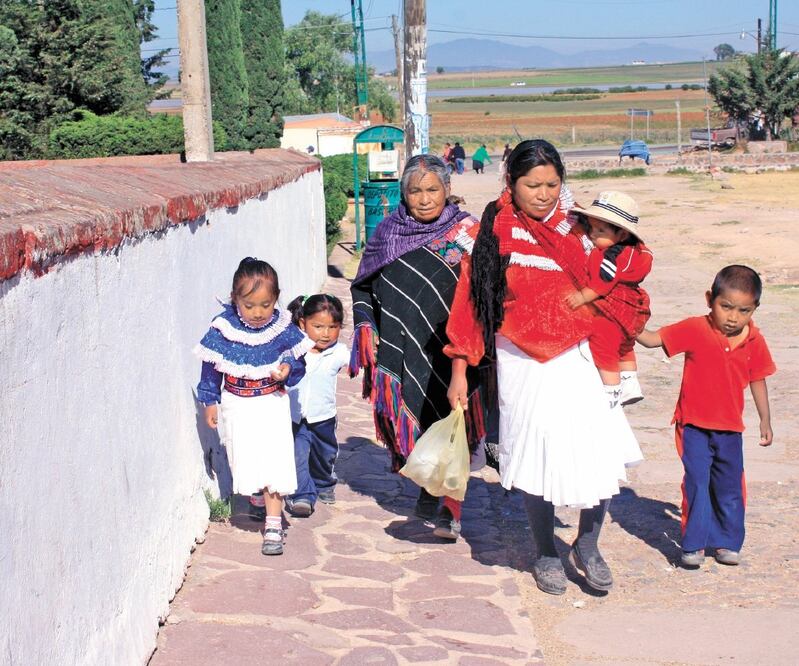 La modificación indica que el Estado debe promover la preservación, difusión y uso de las lenguas indígenas. Archivo EL UNIVERSAL