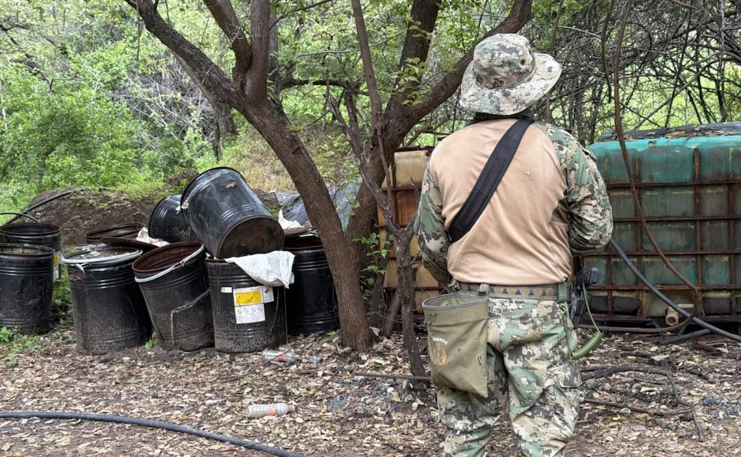 Semar destruye tres narcolaboratorios en Sinaloa (01/07/2026). Foto: Especial