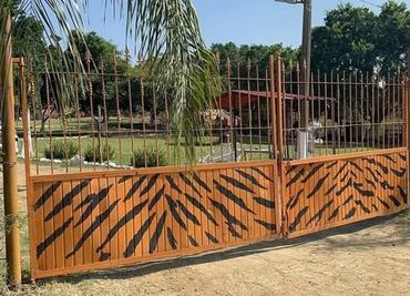 Leona ataca y mata a empleado de zoológico en Altamira, Tamaulipas; víctima presuntamente intentaba darle su comida