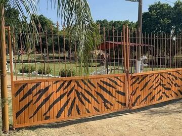 Leona ataca y mata a empleado de zoológico en Altamira, Tamaulipas; víctima presuntamente intentaba darle su comida