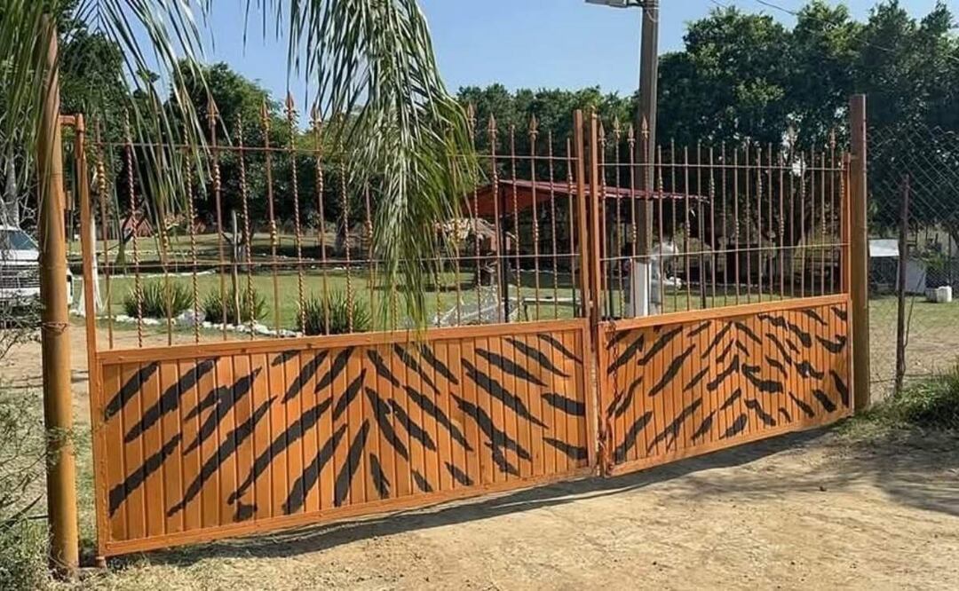 El ataque contra el empleado ocurrió en el Parque Safari Altamira que se ubica en el ejido Mata del Abra, Tamaulipas (30/01/2025). Foto: Especial