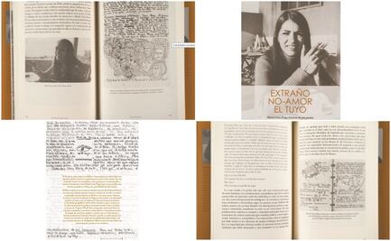 María Luisa Puga, la construcción de una escritura en 327 diarios íntimos