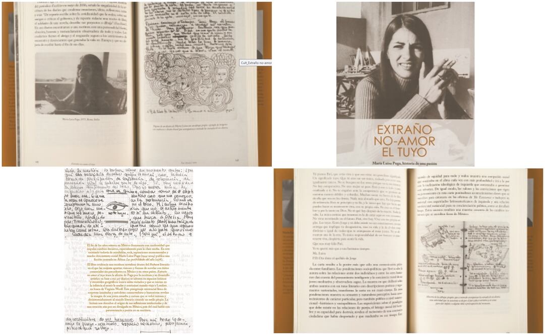 El libro de la investigadora muestra imágenes de los diarios que María Luisa Puga dejó a su hermana Patricia cuando falleció en 2004, quien los resguardó hasta que en 2016 decidió donarlos a la Universidad de Texas. Foto: Cortesía Irma M. López