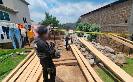 Clausuran predio en Villa del Carbón en operativo contra tala clandestina