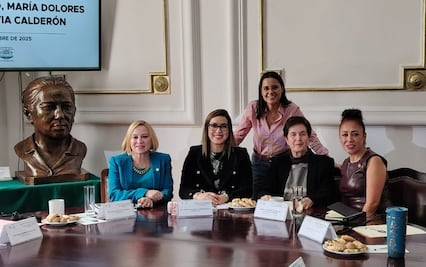 Quejas ante la CDHCM por marcha de la Generación Z seguramente terminarán en una recomendación, dice González Saravia