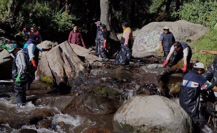 Retiran 12 toneladas de basura del Río Magdalena