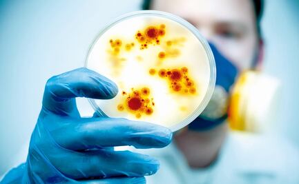 ¿Qué es la brucelosis? Síntomas, causas y cómo tratar la enfermedad