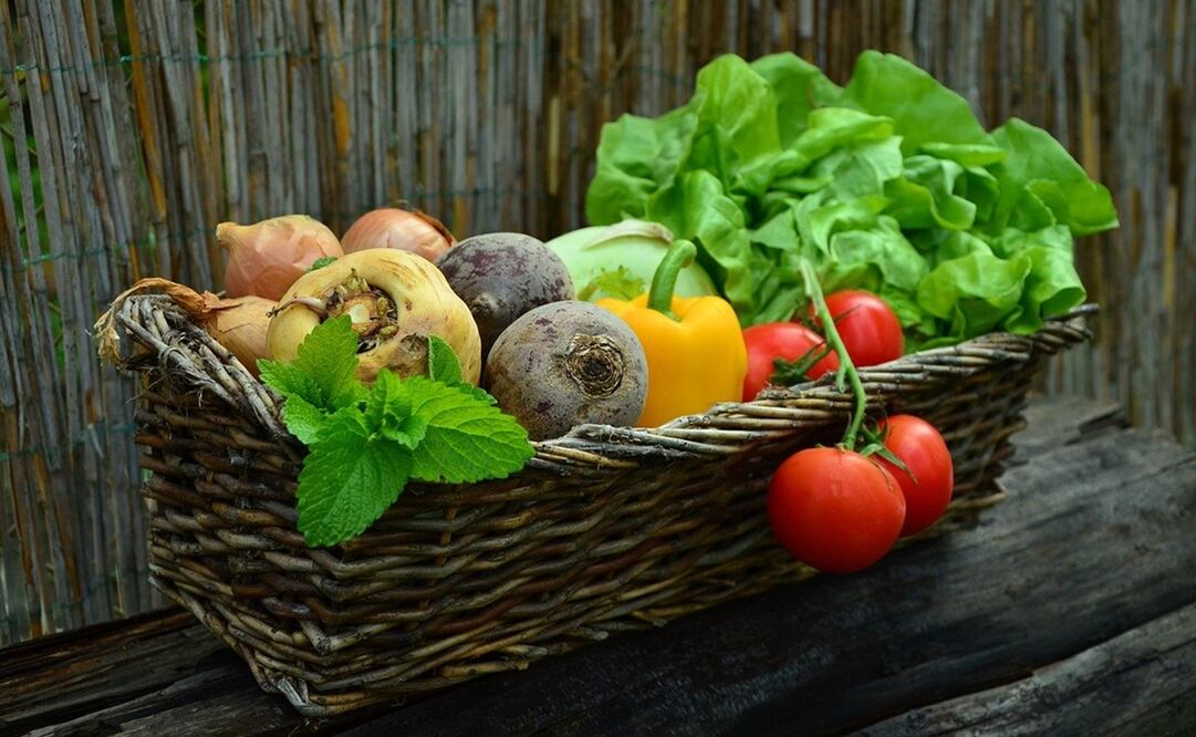 Foto: Congerdesign en Pixabay