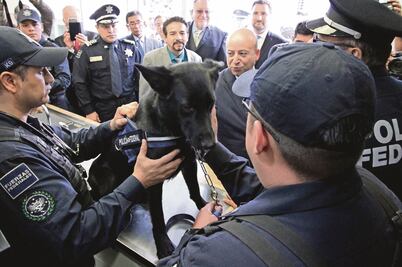 EU entrega 30 ejemplares caninos a la PF