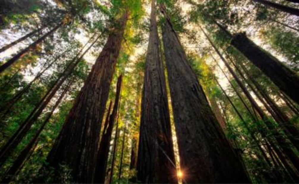 7 lugares en el mundo prohibidos para visitar