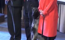 VIDEO: Perro policía ataca bolsa de pantalón de vicealmirante en Chile; usuarios cuestionan lo que llevaba el militar
