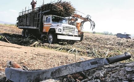 Baja presupuestal al campo convertirá a México en importador de alimentos