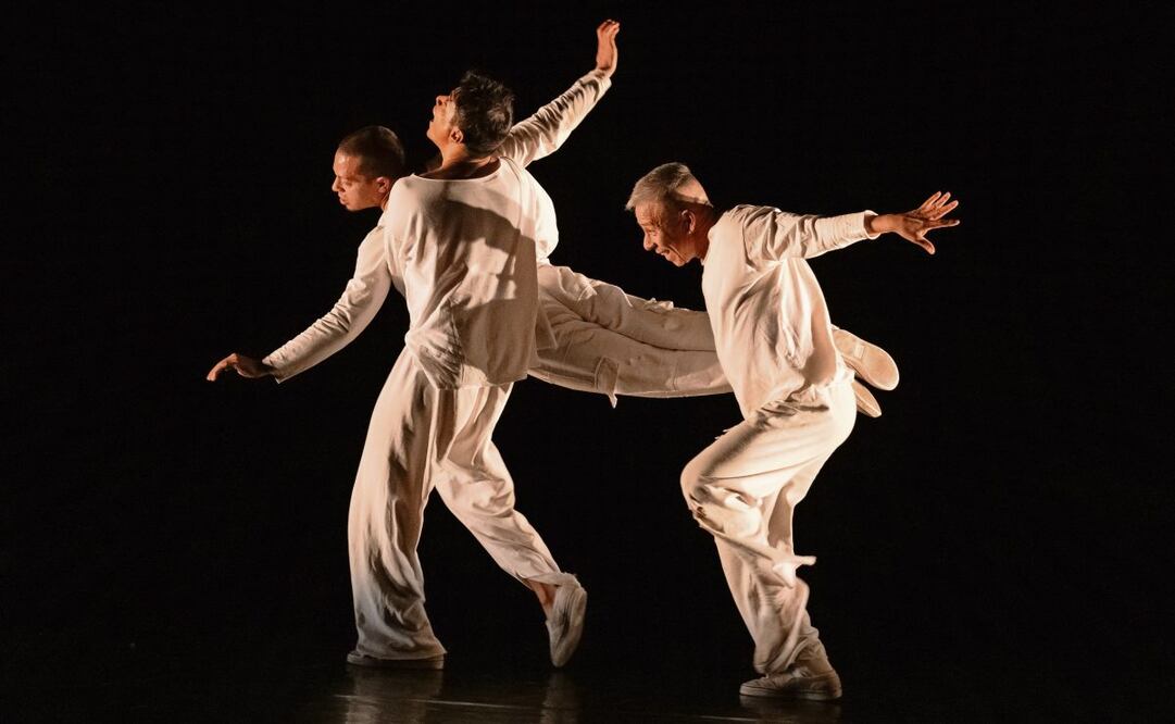 NO la interpretan bailarines de distintas generaciones. Foto: INBAL