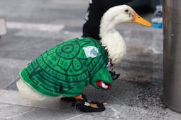 ¡Ya te la sabes! Pato Merlín y su dueña sufren robo en instalaciones de Televisa 