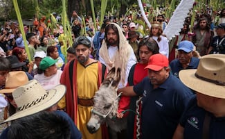 Ordenan a la CDMX proteger caballos y burros usados en Pasión de Cristo en Iztapalapa; ONG denuncia maltrato animal