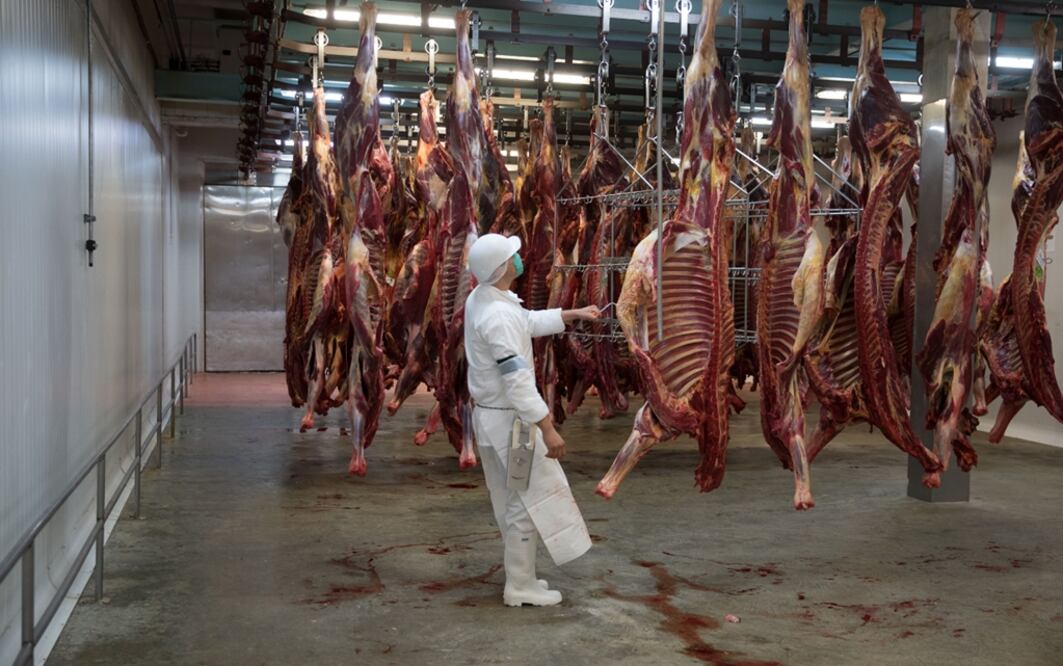 Foto: Archivo EL UNIVERSAL