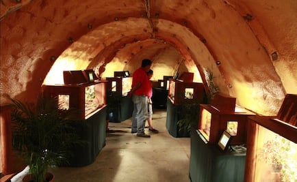 Profepa asegura 62 reptiles en herpetario de Six Flags en CDMX