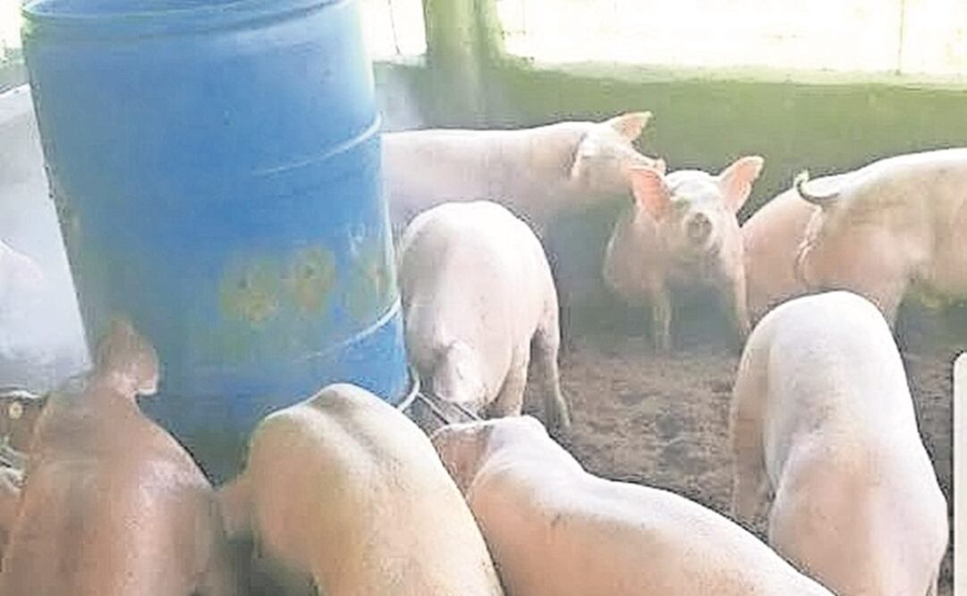 Foto: Archivo. El Universal