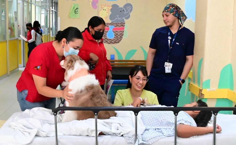 Pacientes del Instituto Nacional de Pediatría reciben a perritos de terapia (03/06/2026). Foto: Especial