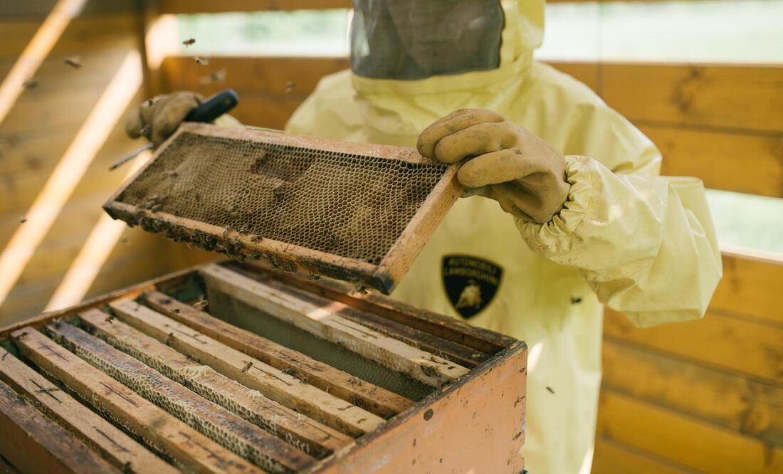 Lamborghini celebra el Día Mundial de las Abejas presentando su propia población