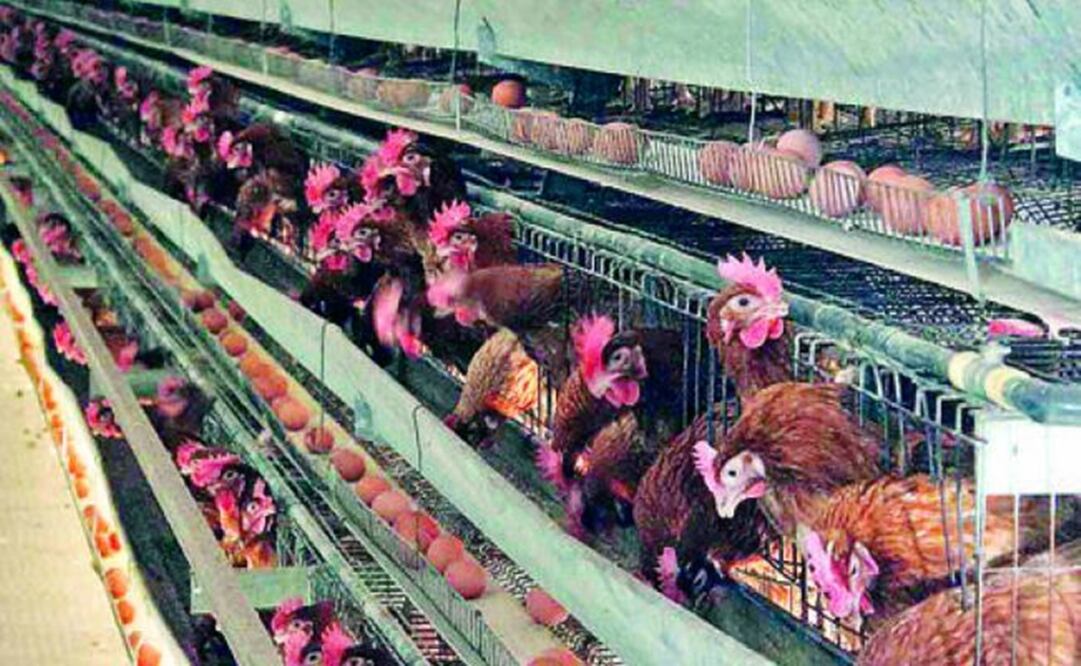 File photo/EL UNIVERSAL