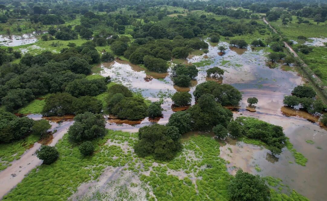 Foto: cortesía Tabasco HOY