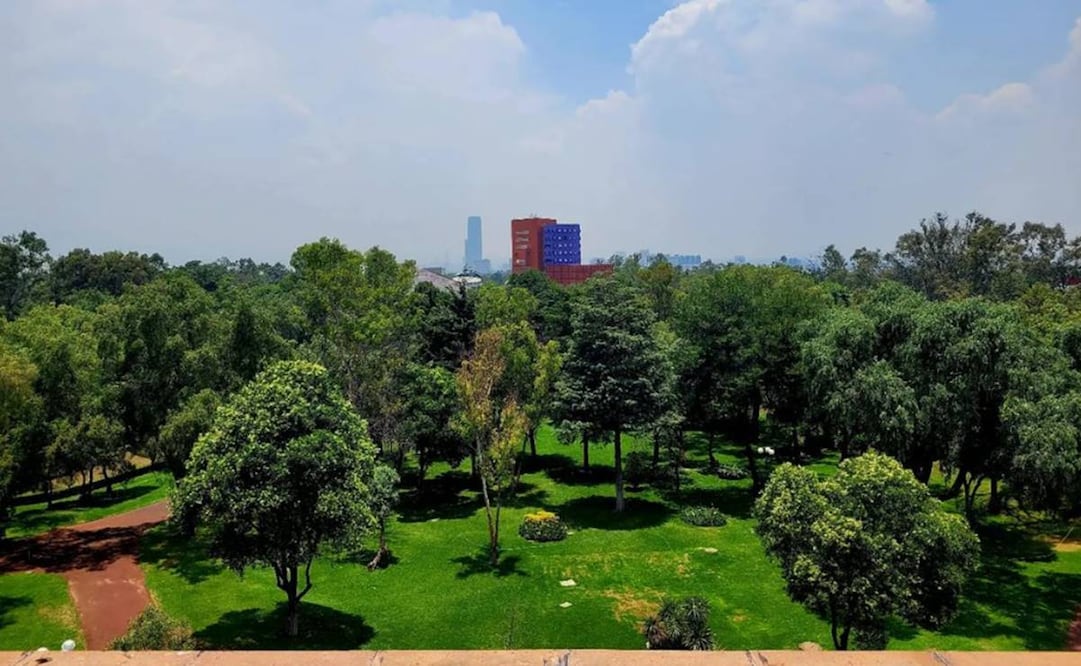 Estará ubicada en el Centro Nacional de las Artes, ocupando el espacio de lo que era el complejo exhibidor Cinemark primero y Cinemex después. El terreno se encuentra dentro de lo que eran los originales Estudios Churubusco, donde se tenían zonas boscosas y había cuidado de animales para las películas. Foto: Instagram cinetecanacionalmx