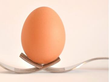 Lanzaron un huevo desde el espacio y esto fue lo que sucedió