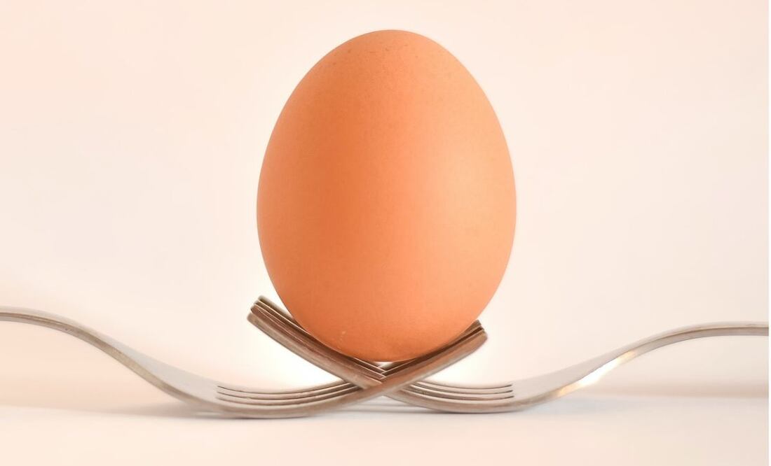 Huevo. Fuente: Pexels