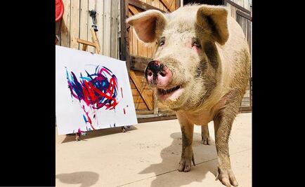 Pigcasso, la cerdita que colaboró para el diseño de un reloj