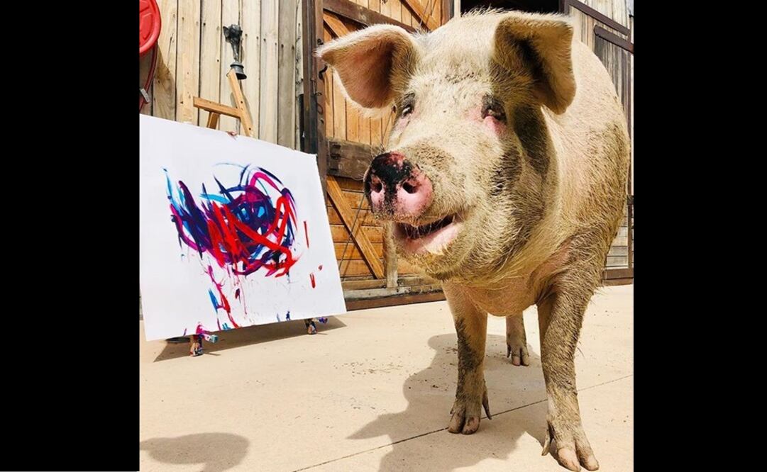 Foto: Instagram Pigcasso