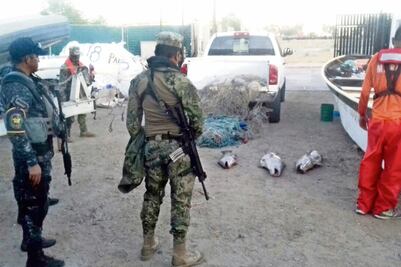 Recuperan 20 totoabas muertas en Baja California