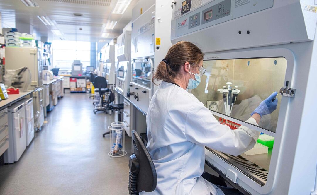 Foto: John Cairns / University of Oxford / AFP