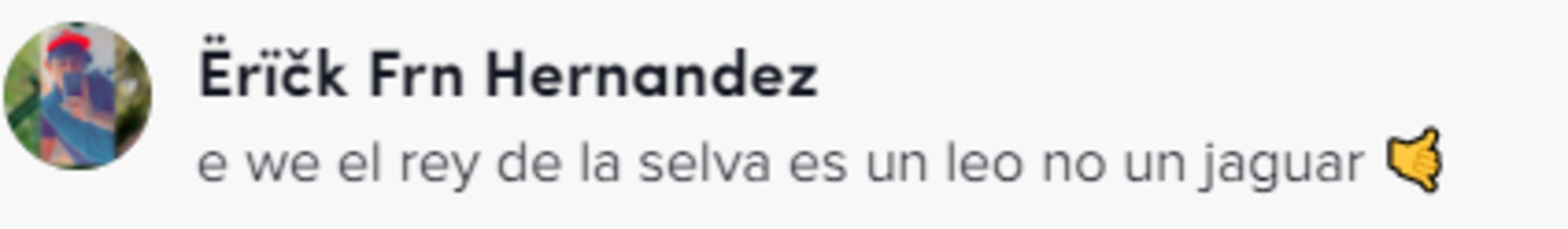 El influencer Fofo Máquez presume su peculiar mascota y otros lujos de su habitación