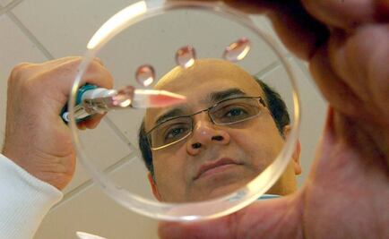 Trabajan en inyección con efecto antidiabético