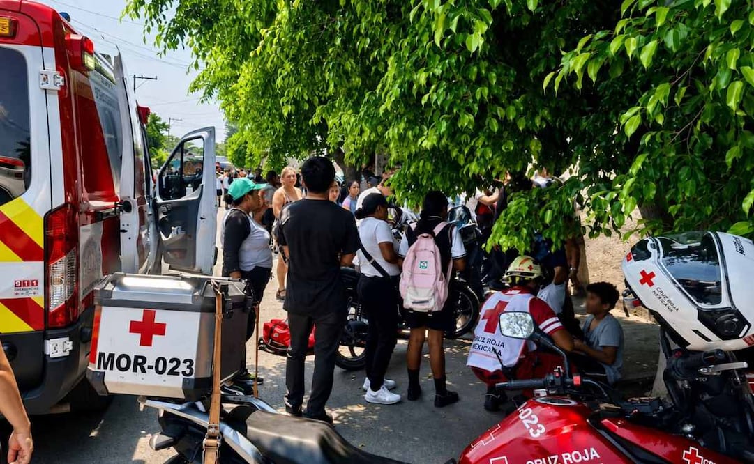 Ataque de abejas en telesecundaria deja 9 alumnos hospitalizados en Cuautla, Morelos; 5 permanecen en urgencias.
Foto: Especial.