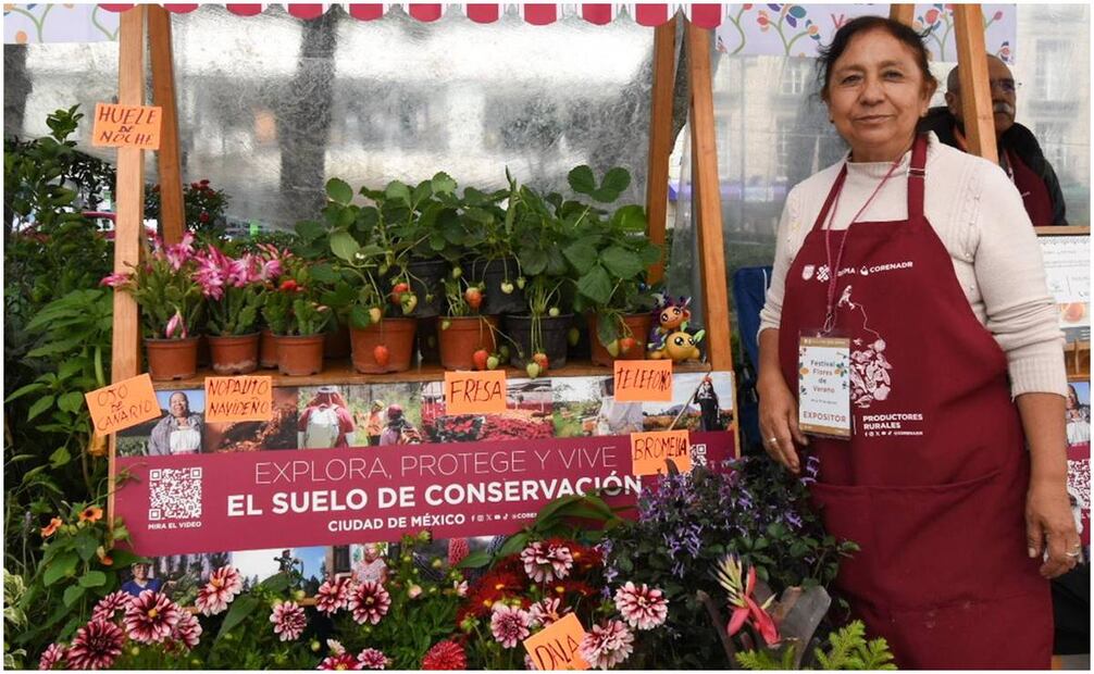El Paseo de la Reforma se llenó de colores a partir de este 5 de agosto, con el Festival de Flores de Verano. Foto: Especial