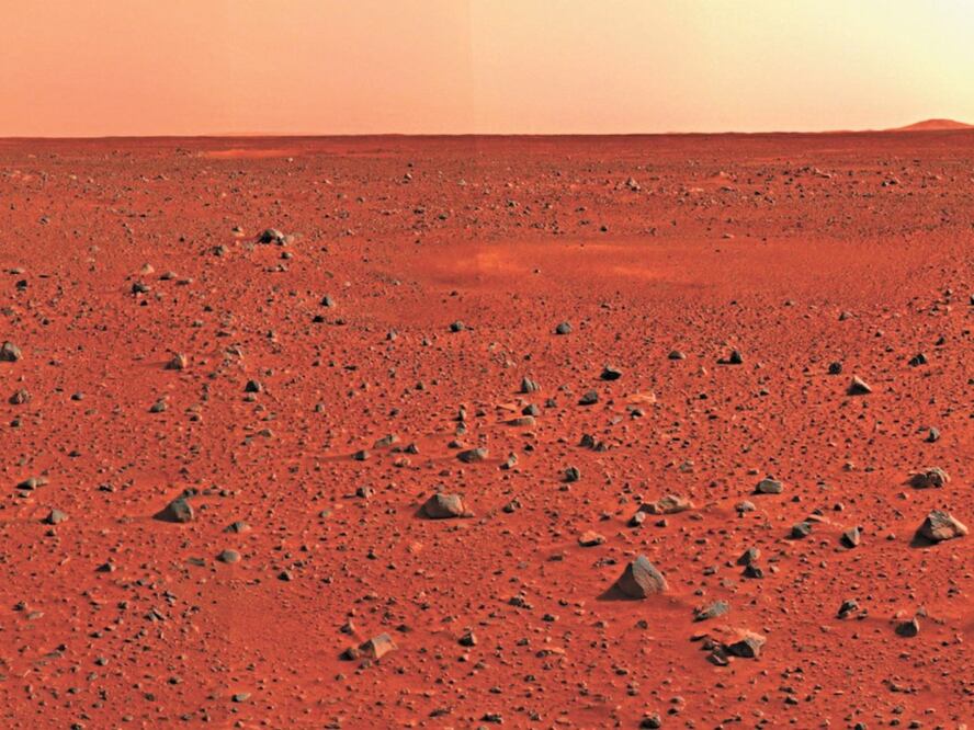 Foto: El Universal, archivo 