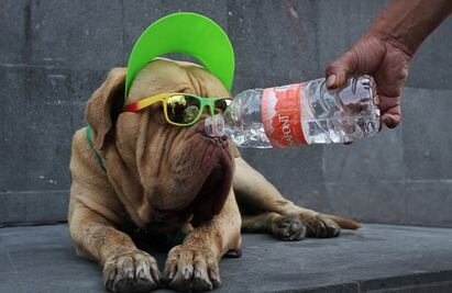 ¿Eres team calor? La CDMX a punto de llegar a los 30 grados; activan la alerta amarilla por altas temperaturas 