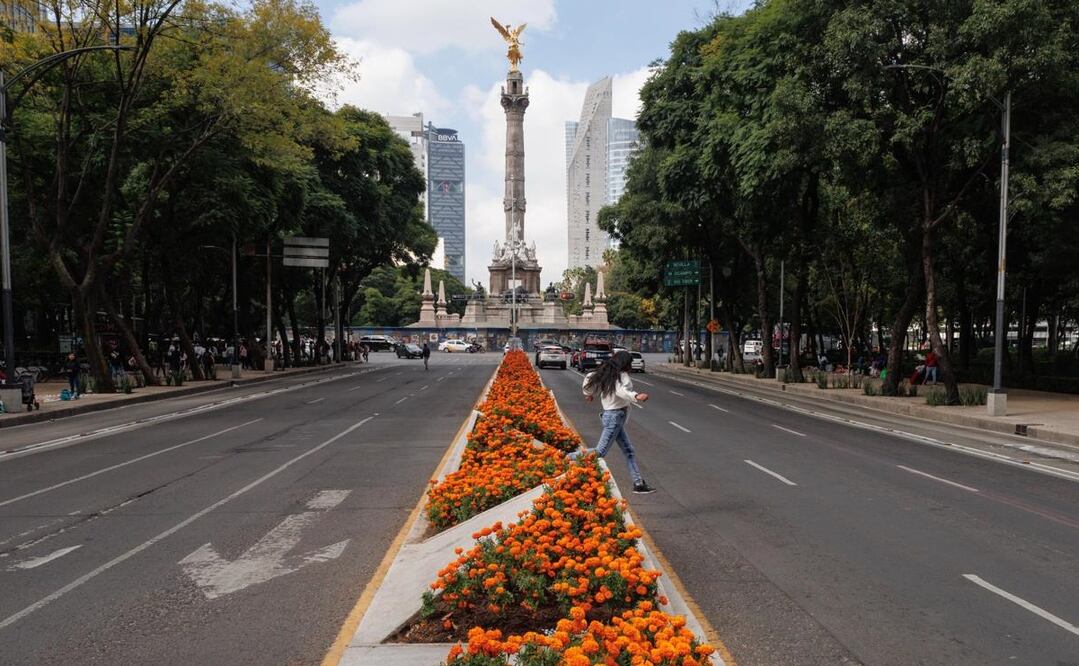 Flor de cempasúchil en la CDMX por la temporada de Día de Muertos. Foto: Yaretzy Osnaya / EL UNIVERSAL