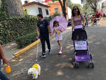 Marchan y exigen justicia por perrita "Moni"; acusan a vecina de matarla en Coyoacán