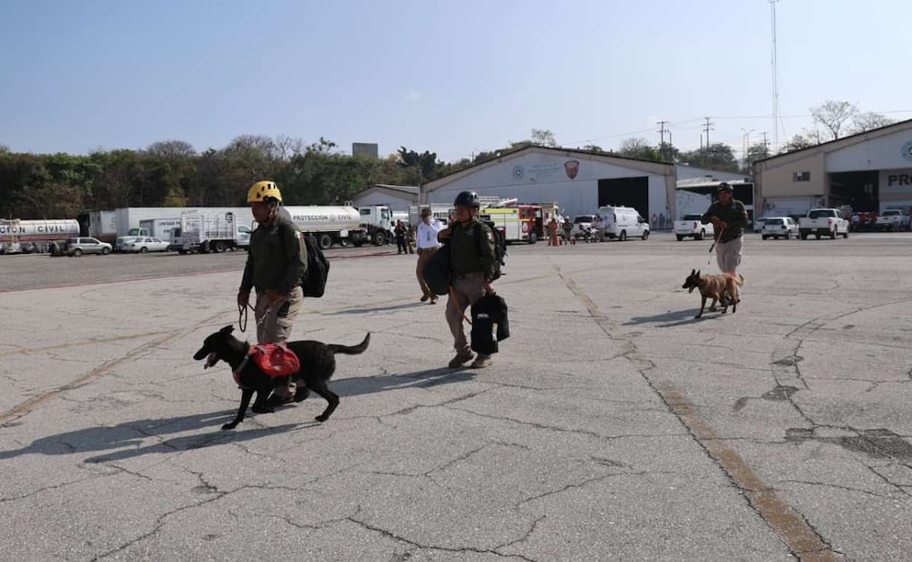 Búsqueda de personas desaparecidas con binomios caninos (12/03/2026). Foto: Especial