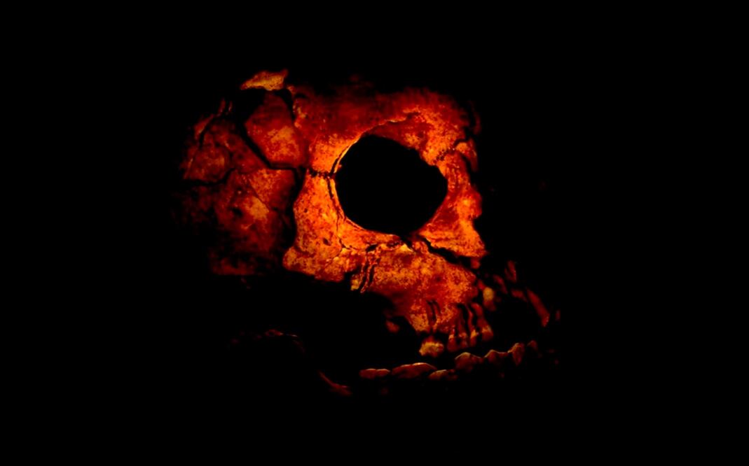 Foto: cortesía UNAM