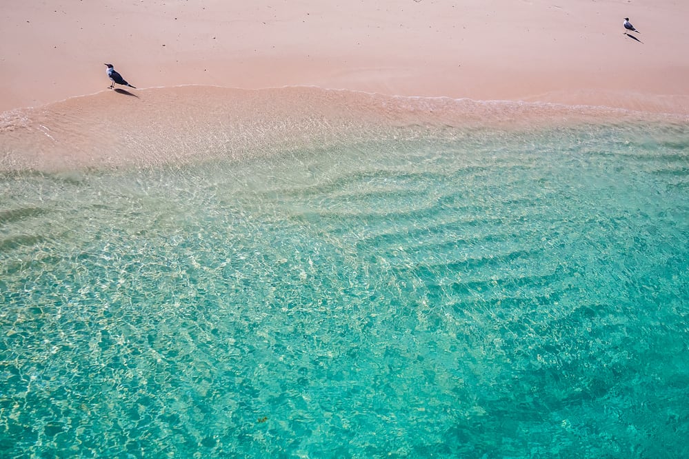 Pink Sands Beach, Harbor Island, Bahamas. (Foto: Istock)
