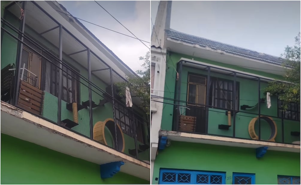 En CDMX este catio se volvió viral en redes sociales, luego de que un usuario lo publicara diciendo que es "una mansión" para el michi. Foto: Instagram @adidaasboy