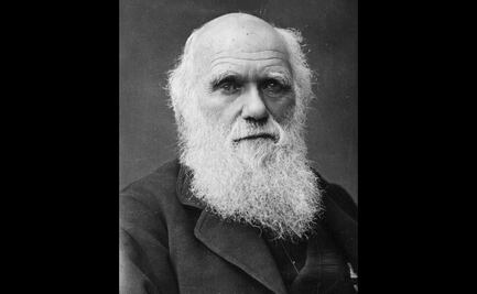 “Darwin. Evolución y Cultura”, en el Seminario de Cultura Mexicana